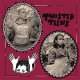 Twisted Teens - The Holy Cross Tigers LP (pre-order)