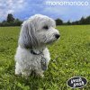 monomonaco – Yeah Yeah LP