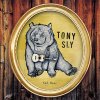 Tony Sly - Sad Bear LP