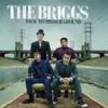 Briggs, The – Back To Higher Ground LP
