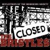 Bristles, The - Reflections Of The Bourgeois Society LP