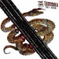 Terminals, The - Forget About Never LP