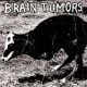 Brain Tumors - Same LP