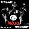 5.6.7.8.´s, The - Teenage Mojo Workout LP