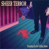 Sheer Terror - Standing Up For Falling Down LP