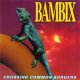 Bambix - Crossing Common Borders LP