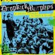 Dropkick Murphys - 11 Short Stories Of Pain & Glory LP