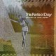 This Perfect Day ‎– No Frills, Just Noise LP