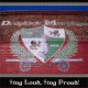 Dropkick Murphys - Sing Loud, Sing Proud col LP
