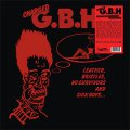 GBH – Leather, Bristles, No Survivors And Sick Boys... LP