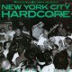 V/A - New York City Hardcore: The Way It Is LP