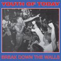 Youth Of Today – Break Down The Walls LP