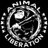 Animal Liberation - Monkey (screenprint)