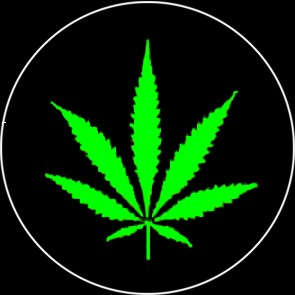 Hanfblatt - zum Schließen ins Bild klicken