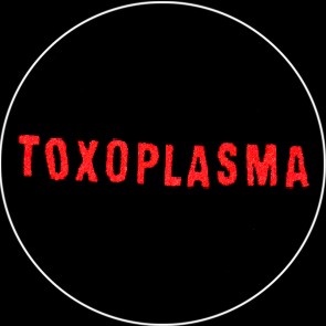 Toxoplasma - zum Schließen ins Bild klicken
