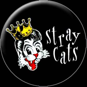 Stray Cats (1327) - zum Schließen ins Bild klicken
