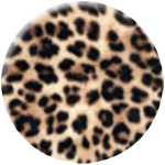 Leopard braun - zum Schließen ins Bild klicken