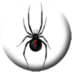 Spider black - zum Schließen ins Bild klicken