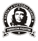 Freedom Fighter (Pin) - Click Image to Close