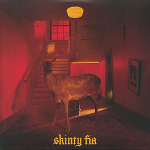 Fontaines D.C. – Skinty Fia 2xLP (deluxe) - zum Schließen ins Bild klicken