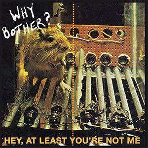 Why Bother? – Hey, At Least You're Not Me LP - zum Schließen ins Bild klicken