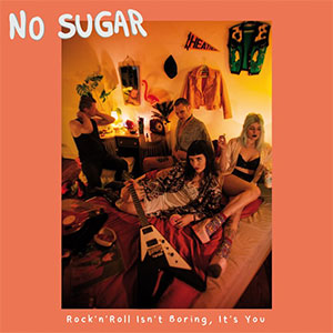No Sugar – Rock'n'Roll Isn't Boring, It's You LP - zum Schließen ins Bild klicken