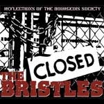 Bristles, The - Reflections Of The Bourgeois Society LP - Click Image to Close
