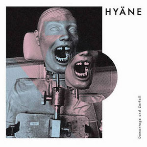 Hyäne - Demontage & Zerfall LP - Click Image to Close