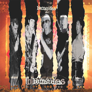 Barracudas, The - Same LP - zum Schließen ins Bild klicken