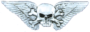 Buckle Skull X-Bones Wings - Click Image to Close